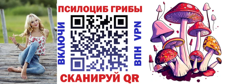 Псилоцибиновые грибы Cubensis  как найти закладки  Мглин 