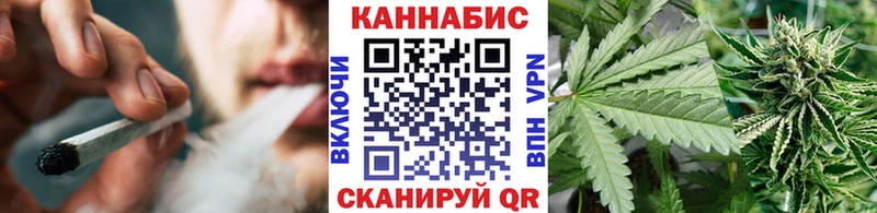 где купить наркоту  Мглин  Бошки марихуана план 